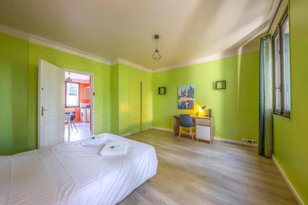 Appartement Au Bord De La Leysse A Chambéry Buitenkant foto